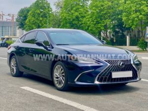 Xe Lexus ES 250 2022