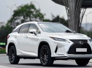 Xe Lexus RX 300 2021