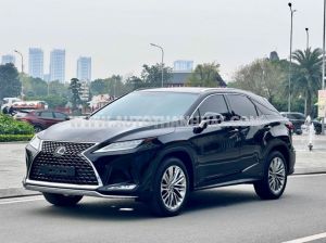 Xe Lexus RX 300 2021