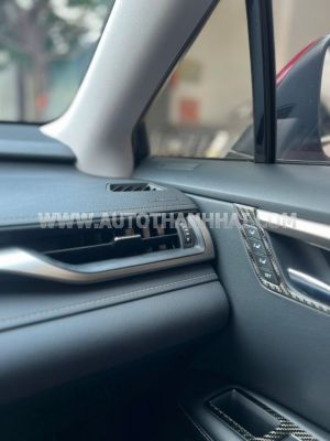 Xe Lexus RX 300 2021