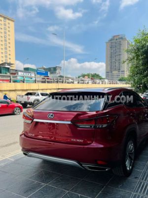 Xe Lexus RX 300 2021