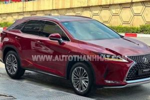 Xe Lexus RX 300 2021
